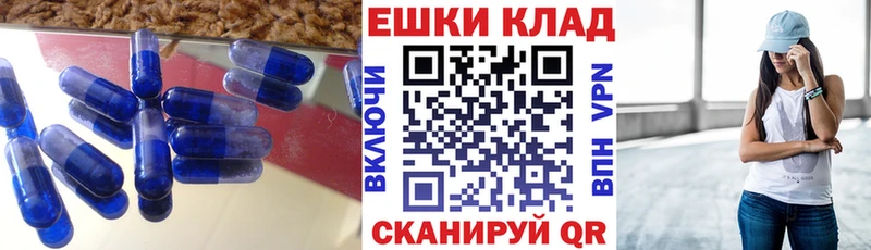 дарнет шоп  Бодайбо  Экстази louis Vuitton 