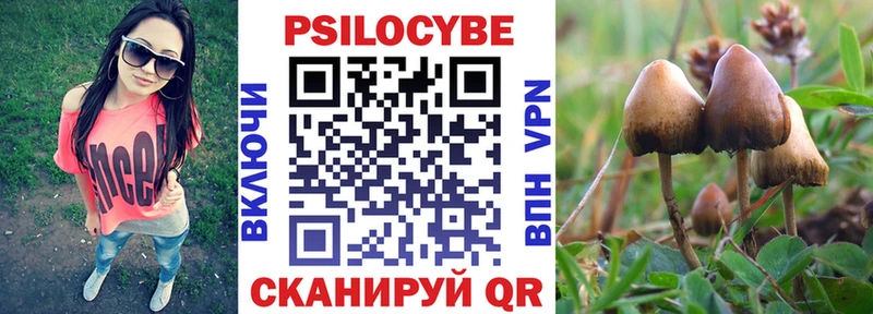 блэк спрут ССЫЛКА  купить наркотики сайты  Бодайбо  Галлюциногенные грибы MAGIC MUSHROOMS 