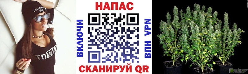 ссылка на мегу зеркало  Бодайбо  МАРИХУАНА SATIVA & INDICA 